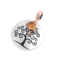 Charm Rerum Donna MOMENTI in Argento 25036 - 25036